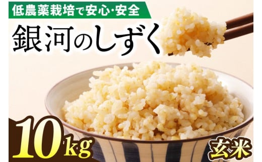 【新米】令和6年産 銀河のしずく 10kg (玄米) 低農薬栽培米 生産者直送 生産地域限定ブランド米 (EI008)