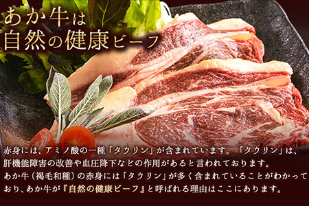 あか牛（褐毛和種）ロースステーキ (リブまたはサーロイン) 250g×2 500g 熊本県産 肉 和牛 牛肉 赤牛 あかうし リブロース サーロイン 冷凍 《30日以内に出荷予定(土日祝除く)》送料無
