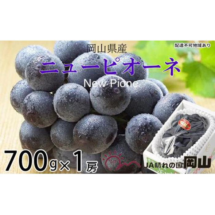 【ふるさと納税】ぶどう 2026年 ニュー ピオーネ 約700g×1房 ブドウ 葡萄 岡山県産 国産 フルーツ 果物 ギフト | フルーツ 果物 くだもの 食品 人気 おすすめ 送料無料