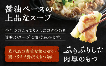【全12回定期便】博多 華味鳥  もつ鍋 セット ( 醤油味  ) 3-4人前《糸島》【トリゼンフーズ】 [AIB014]