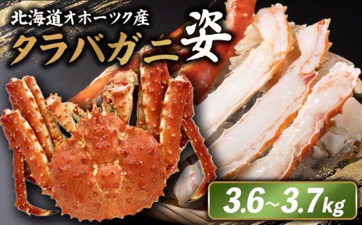 
                  北海道オホーツク産 冷タラバガニ姿　3.6～3.7kg | オンライン申請 ふるさと納税 北海道 雄武 北海道産タラバガニ タラバ カニ かに 蟹 冷凍 海産 海産物 ギフト 贈り物 お取り寄せ ワンストップ マイページ 雄武町【1241801】
                