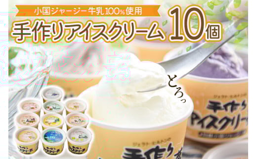 【ヒルトンビック】地元で愛され続けて30年以上！阿蘇小国ジャージー牛乳100%使用 ジェラトヒルトンの手作りアイスクリー夢A（10種×各1個）