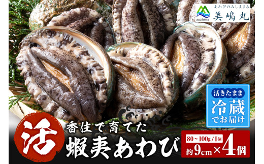 《12/21まで年内発送》【冷蔵 活あわび 養殖 9cm×4枚 320～400g (1個80～100g）】満点青空レストラン うまい！おせち2023に採用されました！アワビ 鮑 活アワビ あわび 海鮮 貝 魚介 お刺身 BBQ バター焼き 新鮮 日本海 養殖 昆布 レシピ入り 人気 テレビ 紹介 話題 高級 香美町 香住 山陰 21000円  20-02 202512_年内発送 魚介 お正月準備