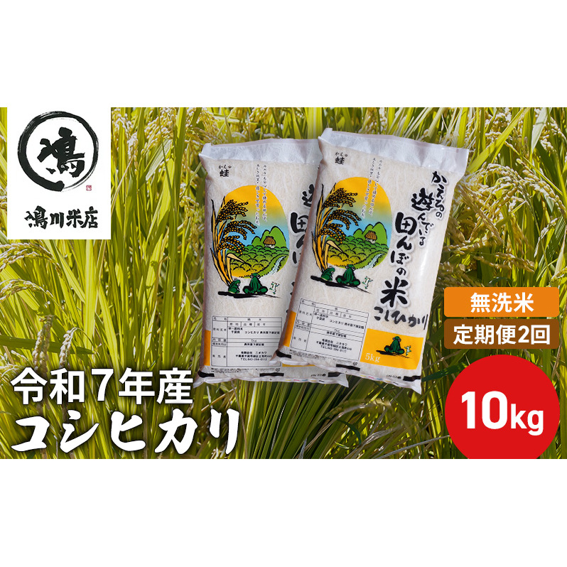 【定期2ヶ月】 コシヒカリ 乾式無洗米 10kg（5kg×2）令和7年産 お米 銘柄米 ご飯 おにぎり お弁当 和食 食卓 精米 国産 千葉県産 産地直送 