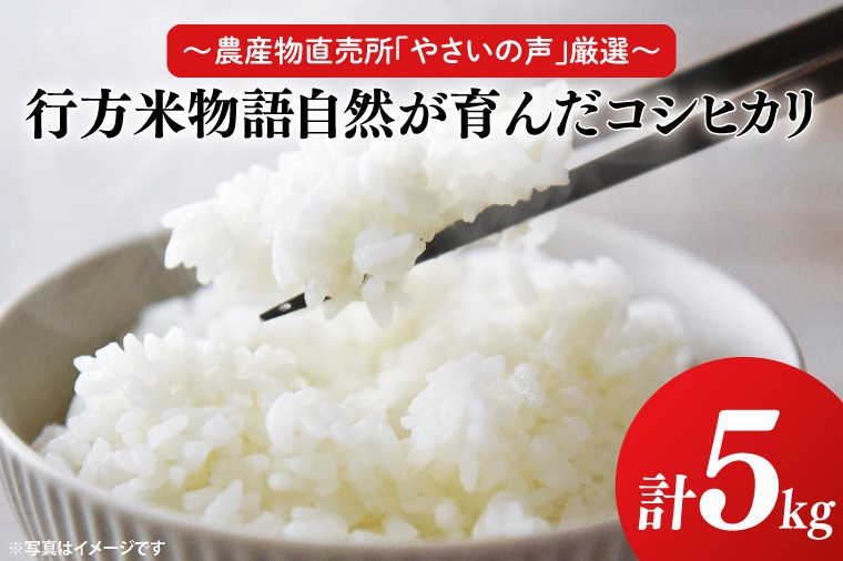 
                  【令和8年産新米】～農産物直売所「やさいの声」厳選～「行方米物語 - 自然が育んだコシヒカリ５kg」｜米 お米 こめ コシヒカリ ご飯 白ご飯 令和8年産 R8年産 茨城県 行方市(EK-7-2)
                
