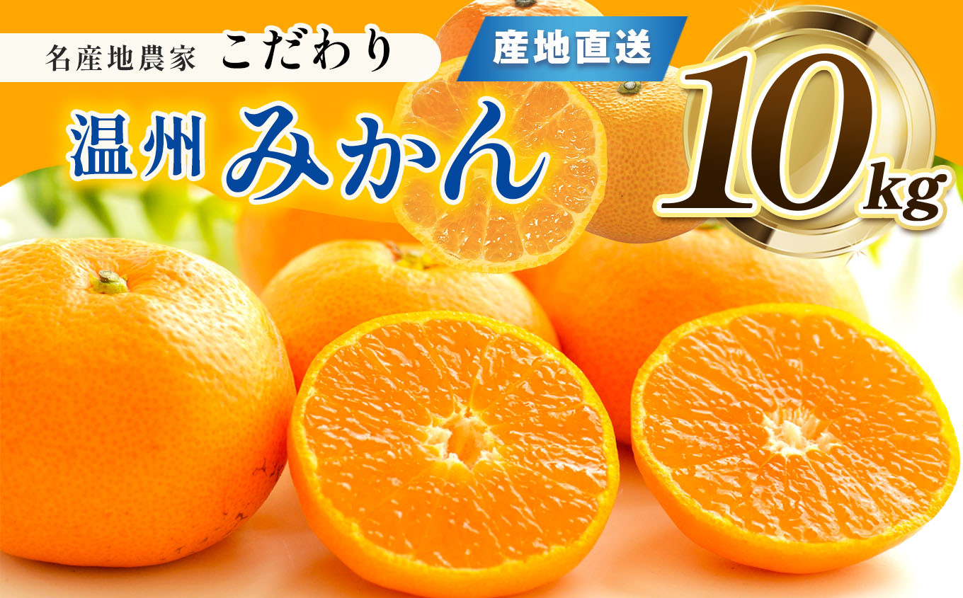 
                  熊本県産 こだわり みかん 約 10kg 下田農園 | フルーツ 果物 くだもの 柑橘 柑橘類 ミカン みかん 熊本県 玉名市
                