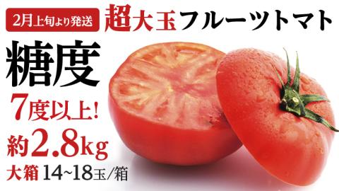 【2024年2月上旬発送開始】 超大玉 フルーツトマト 大箱 約2.8kg（14～18玉） ×1箱 糖度7度以上 トマト とまと 野菜 [BC021sa]