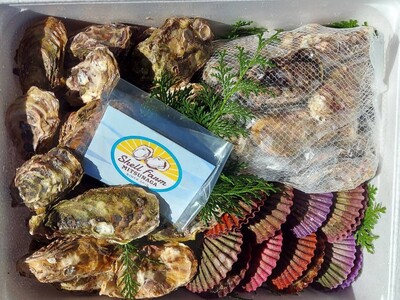 冷蔵 かき盛り 1kg 牡蠣（殻付）30個 ヒオウギ貝10個 セット アウトドア キャンプ バーベキュー 魚貝 【SLFM_006】