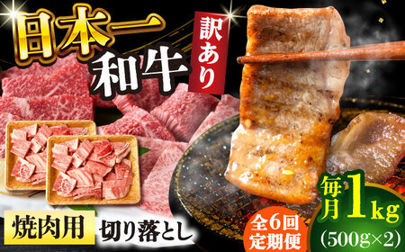【6回定期便】【訳あり】 A4-A5 長崎和牛 焼肉切り落とし 500g×2(肩ロース/バラ)  [DBS047] 訳アリ 牛肉