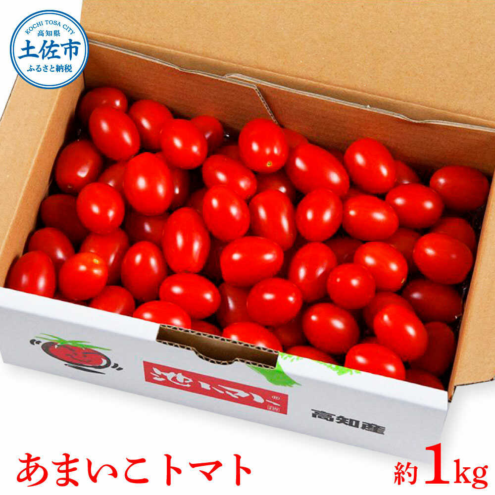 【ふるさと納税】【先行予約】あまいこトマト 約1kg ＜2027年1月〜発送＞ / トマト ミニトマト フルーツトマト 糖度7〜8度 高知県産 アイコ アイコトマト 健康 酸味控えめ 美味しい【池トマト】[BQAG025][BQAG025]
