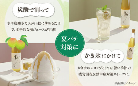 梅シロップ 七折小梅の梅シロップ 500ml×2本 梅シロップ BJAG001