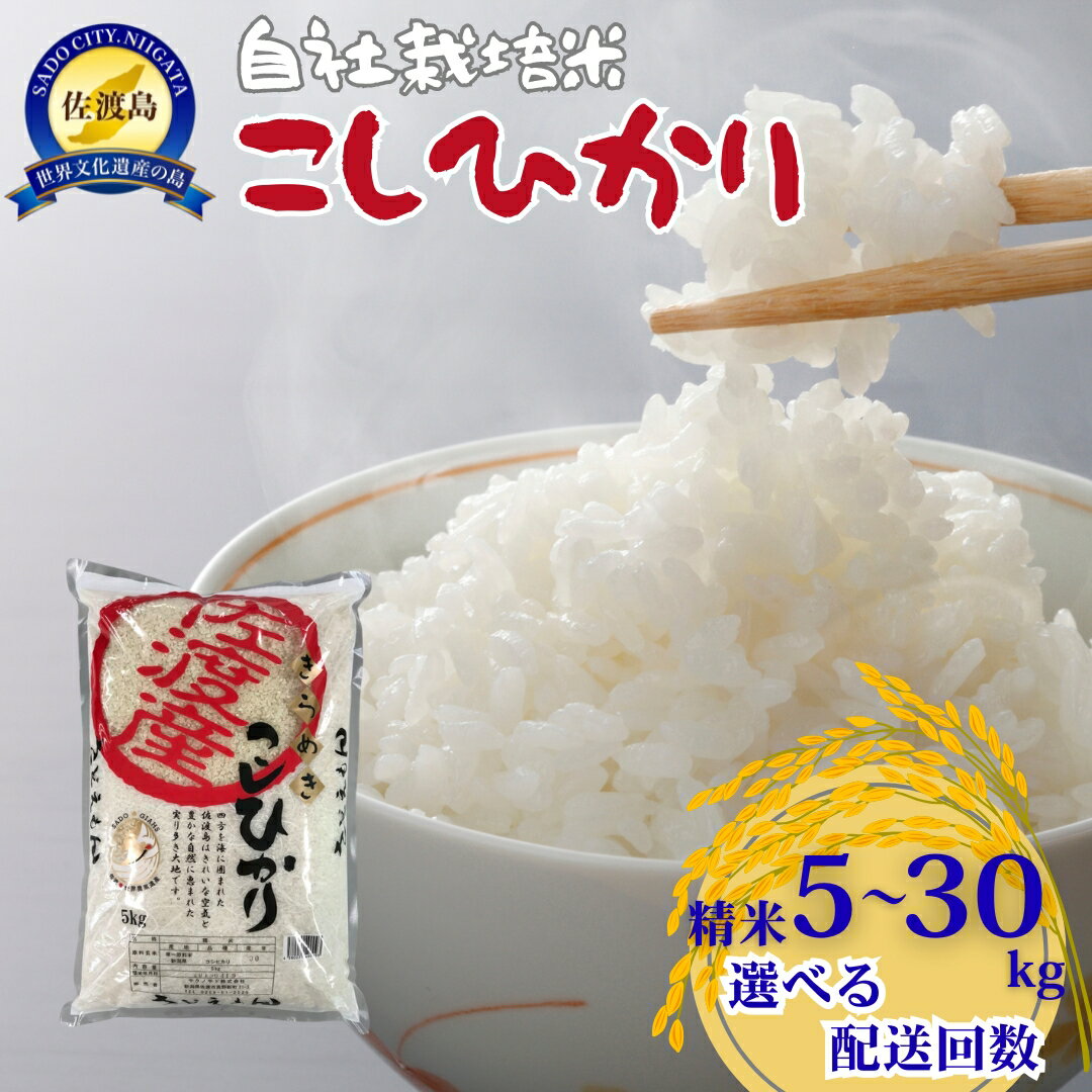【ふるさと納税】【令和7年産】米 コシヒカリ 精米 5kg〜30kg 選べる配送回数 佐渡産 自社栽培 単一原料米 こしひかり 白米 注文後精米 ごはん おにぎり お弁当 新潟県 佐渡市
