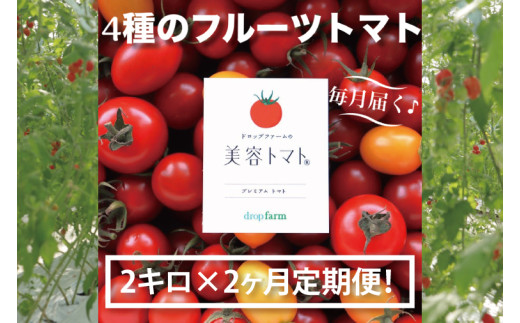 【2ヶ月定期便】【11月より順次発送】ドロップファームの美容トマトおまかせ2kg箱(４種ミックス)【とまと フルーツトマト 野菜ソムリエ 朝採れ アイコ イエローアイコ 小鈴 フルティカ 野菜 フレッ
