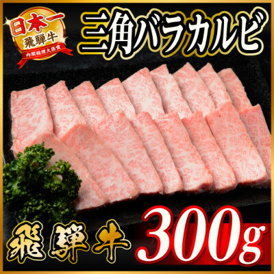 【ふるさと納税】飛騨牛　三角バラカルビ焼肉　300g　タレ付き　BBQ用【配送不可地域：離島】【1745660】