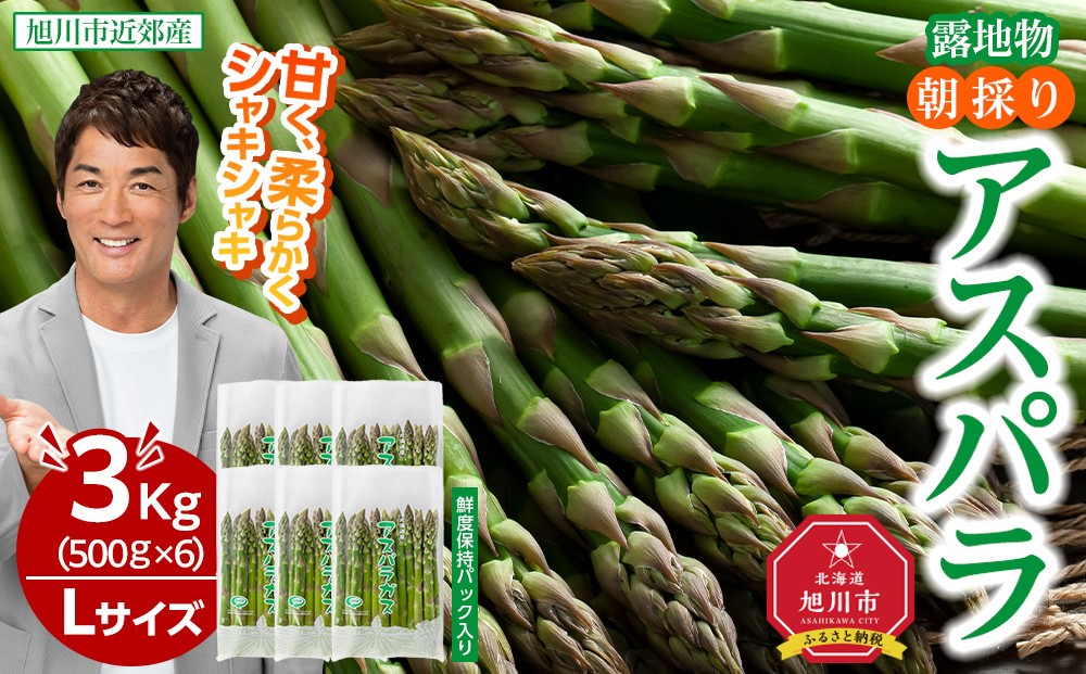 
            【2026年先行予約】朝採りアスパラ Lサイズ 3kg（500g×6）鮮度保持パック入り 旭川近郊産 露地物(5月中旬発送開始予定) 【 アスパラ アスパラガス 朝採り とれたて 野菜 旬 小分け 保存 産直 産地直送 お取り寄せ 旭川市 北海道 】_01592
          