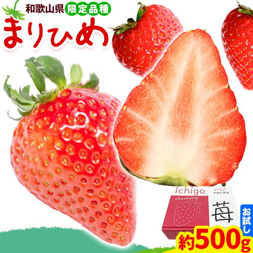 【ふるさと納税】【2026年出荷】いちご まりひめ 約500g ( 250g × 2パック ) お試し パック 苺 イチゴ JAわかやま 紀の里地域本部《2026年2月中旬-3月末頃出荷》 和歌山県 紀の川市 青果物 果物 くだもの フルーツ スイーツ