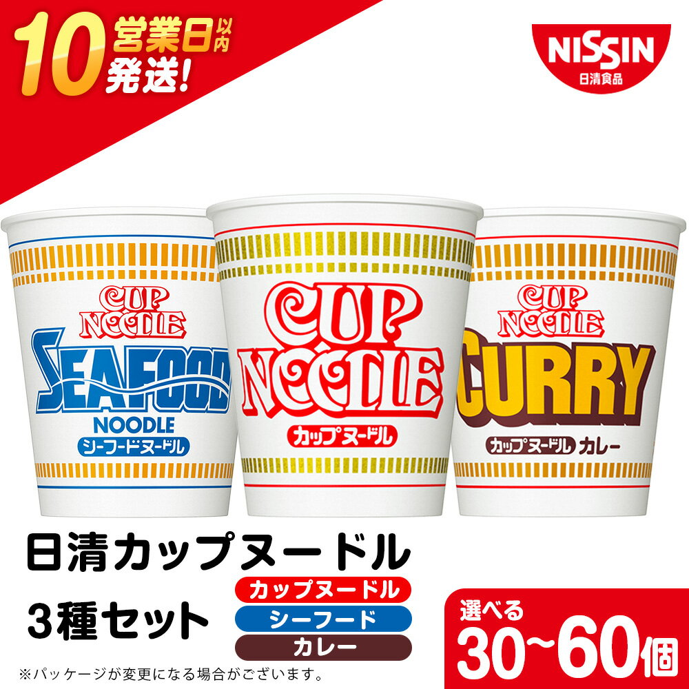 【ふるさと納税】 日清ヌードル3種セット 選べる各10食・各20食入 合計30食・60食 麺類 ラーメンラーメン麺 即席麺 麺類 ラーメン カップ麺 インスタント 麺類 カップラーメン 【北海道千歳市】ギフト ふるさと納税
