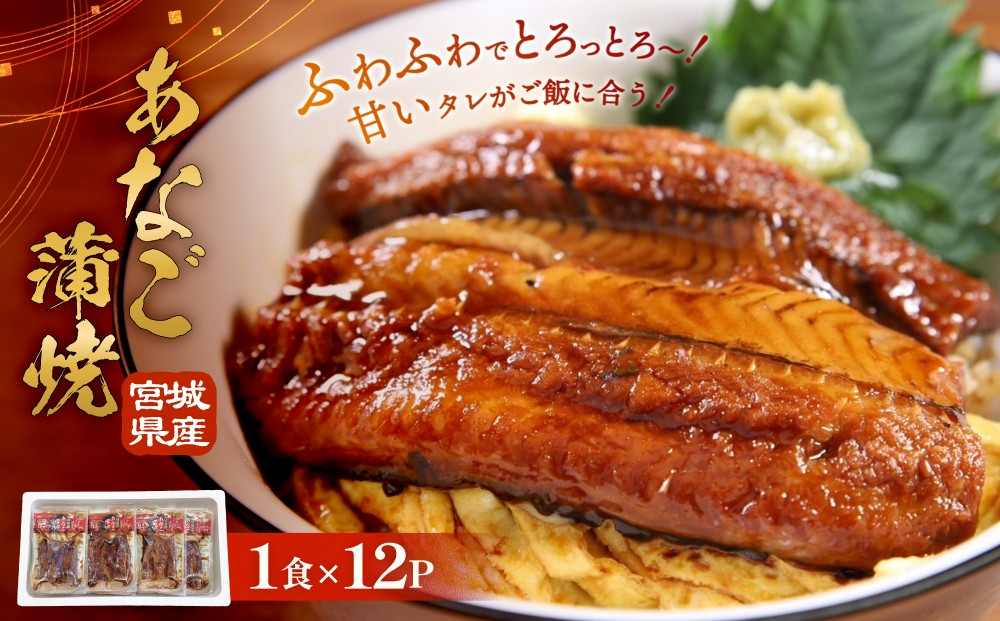 
                  宮城県産 あなご蒲焼（1食）12入 冷凍 小分け 穴子 アナゴ 蒲焼き あなご 魚 お魚 丼 寿司 おかず 惣菜 レトルト 甘だれ 温めるだけ 湯煎 レンチン 簡単調理 冷凍ストック 穴子丼 美味しい お取り寄せ 三晃食品 宮城県 石巻市
                