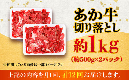 【全12回定期便】あか牛 切り落とし 約1kg (約500g×2P) / 熊本 赤牛 褐牛 あかうし 褐毛和種 肥後 冷凍 国産 牛肉 和牛 切り落とし こま切れ【五右衛門フーズ】[BHCY008]