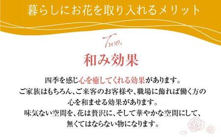  お花の デザインアレンジメント ・ カゴ付き アレンジメント 季節の花  生花 花 TR3350