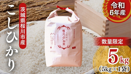【生産者支援】 《令和7年産 先行予約》茨城県 桜川市産 こしひかり5kg 茨城県産 桜川 米 お米 白米 コメ ごはん 精米 コシヒカリ 国産 限定 [SC051sa]