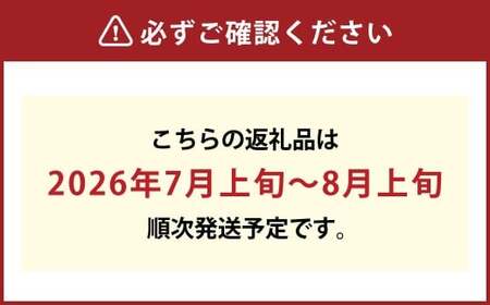 果物詰合せ（岡山白桃 2玉（1玉 220g以上）《等級：ロイヤル》・シャインマスカット晴王 1房（380g以上））【2026年7月上旬～8月上旬まで順次発送予定】【白桃 桃 もも モモ シャインマスカ