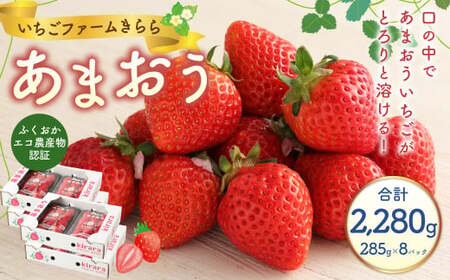 あまおう 約2280g 約285g×8パック いちごファームきらら いちご イチゴ 苺【ふくおかエコ農産物認証】【2027年2月上旬～3月下旬発送予定】
