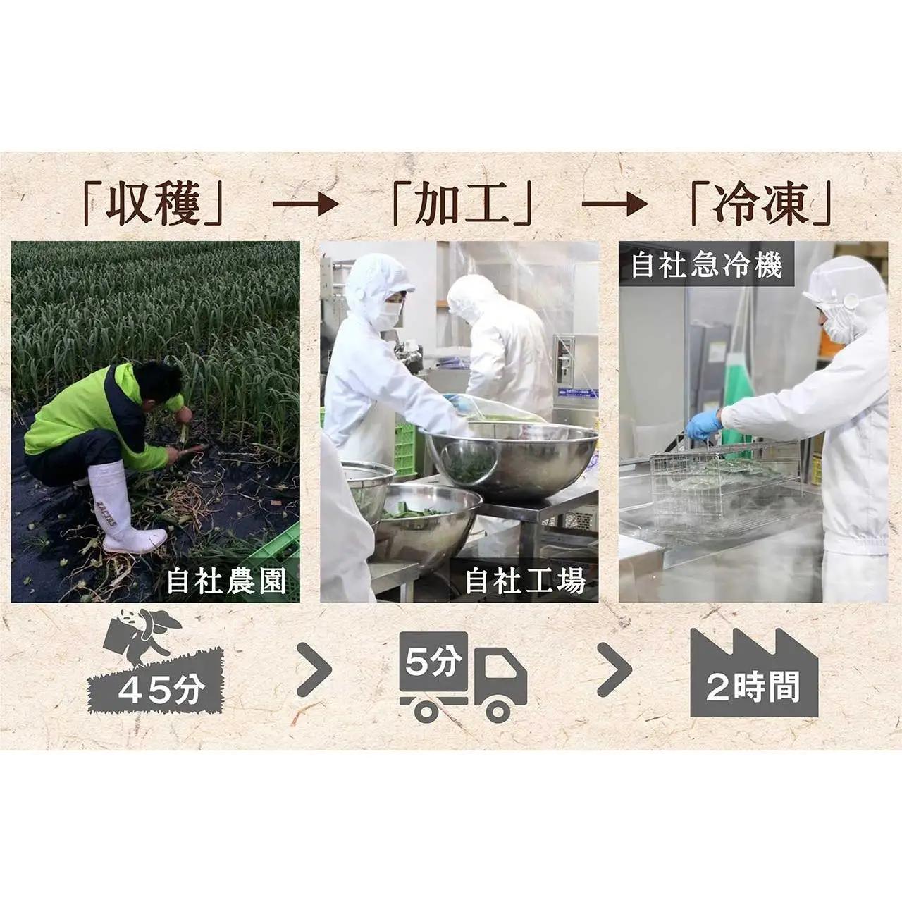 【高知家のうまいもの大賞グランプリ受賞】 かつおに合う葉にんにくぬた3袋×3個