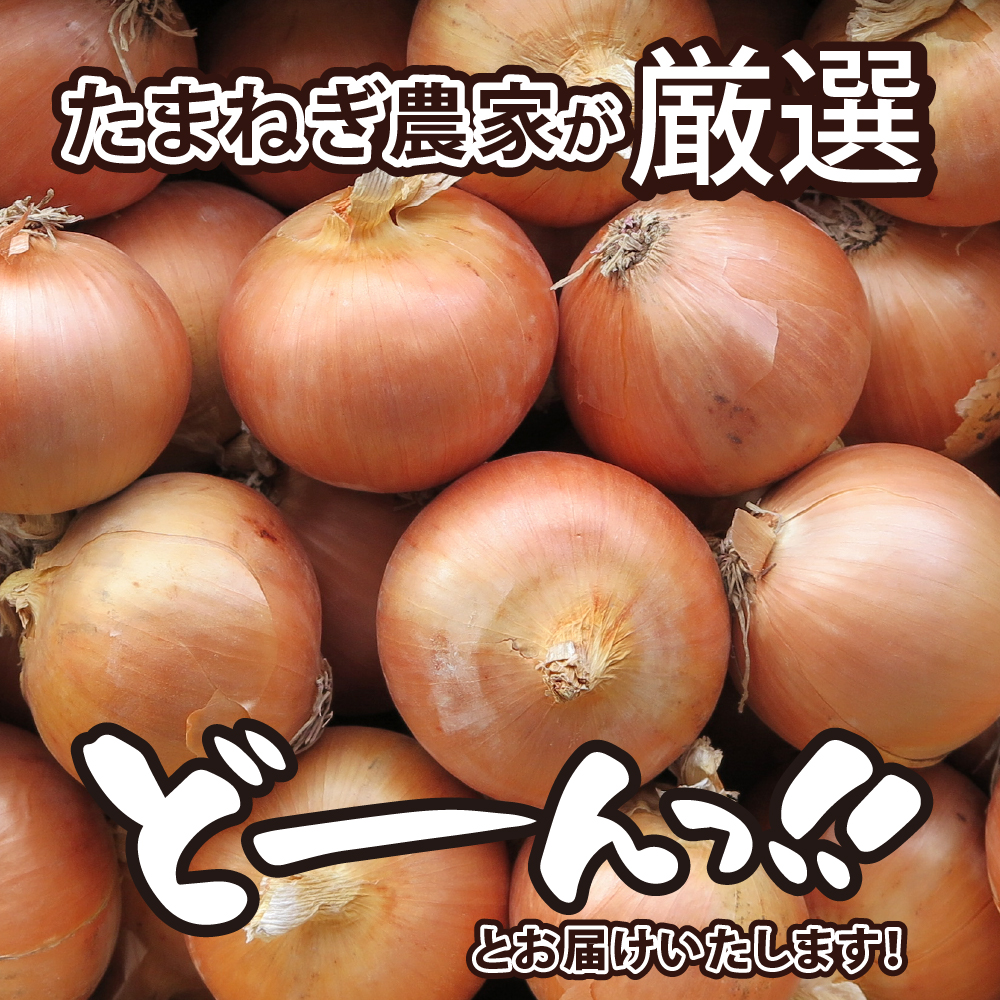 【先行受付】【2026年10月より配送予定】北海道十勝芽室産 たまねぎ10kg 1箱 me002-023-26c