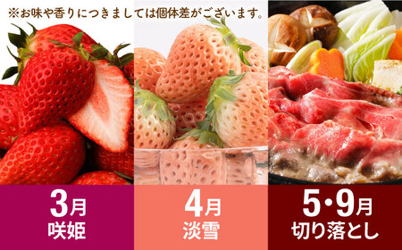 【R8年1月以降発送】【先行予約】【全10回定期便】赤白いちご4種と佐賀産和牛のセット / いちご 牛肉[IZZ024]