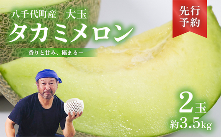メロン タカミメロン 秀品 2玉 約3.5kg メロン メロン メロン メロン メロン メロン メロン メロン