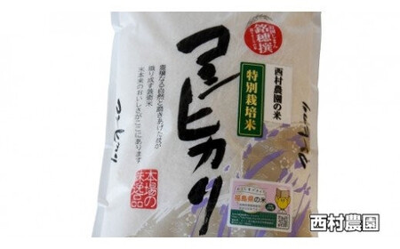 米 定期便 コシヒカリ 30kg ( 5kg × 6ヶ月 ) 《 令和7年 》 福島県 大玉村 西村農園  ｜ こしひかり 精米 定期 6回 福島 コメ 米 定期便 コシヒカリ 福島 米 定期便 コシ