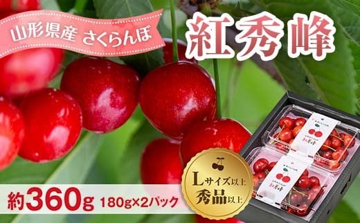
            先行予約（令和8年発送） 山形県産 さくらんぼ 紅秀峰 約360g FSY-2297
          