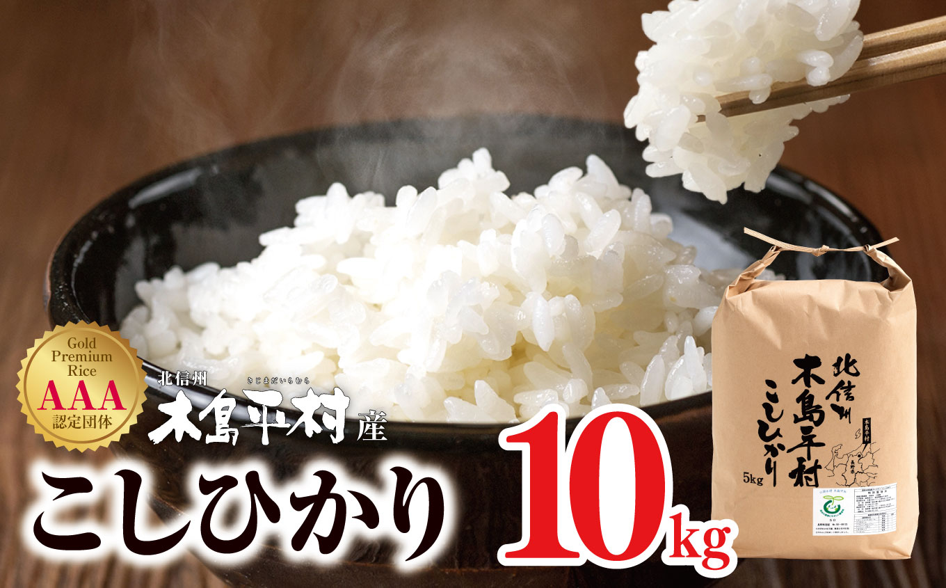 木島平産こしひかり 約10kg | 米 白米 精米 特別栽培米 コシヒカリ こしひかり お米 おこめ 減農薬 長野県 木島平村 信州