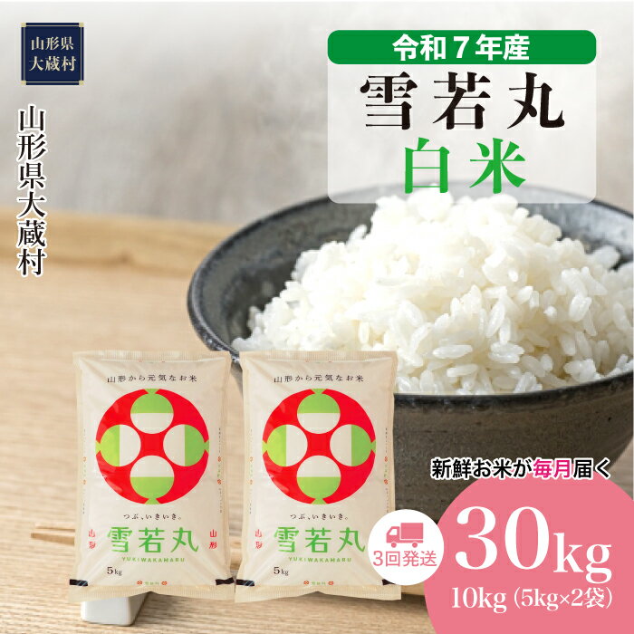 【ふるさと納税】＜令和7年産米＞ 大蔵村 雪若丸 ＜白米＞ 30kg定期便（10kg×3回お届け）