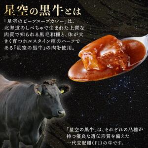 「星空の黒牛」カレー・シチュー・スープカレーセットB 6食　|  スープカレー
