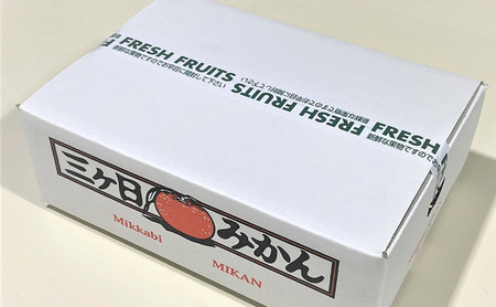 【2025年11月中旬より順次発送】『訳あり』 三ヶ日みかん 早生 2.5kg みかん ミカン 果物 柑橘 フルーツ 訳あり 静岡 浜松市