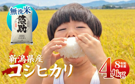 【先行予約】令和8年産 無洗米 コシヒカリ 4kg コシヒカリ コシヒカリ kwsMKH