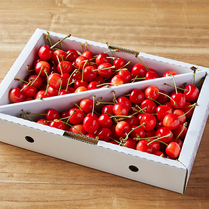 【定期便4回】ふるさと山形のおいしい定期便 【令和8年産先行予約】FU23-765