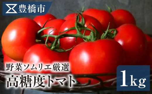 【先行予約 糖度にこだわる】豊橋市産 高糖度トマト 麗 1kg 8～12玉 産地直送 愛知県豊橋市 高糖度トマト 高糖度トマト 高糖度トマト 高糖度トマト 高糖度トマト 高糖度トマト 高糖度トマト 高糖度トマト トマト 1kg トマト 1kg トマト 1kg トマト 1kg トマト 産地直送 トマト 産地直送 トマト 産地直送 トマト 産地直送 トマト 麗 トマト 麗 トマト 麗 トマト 麗