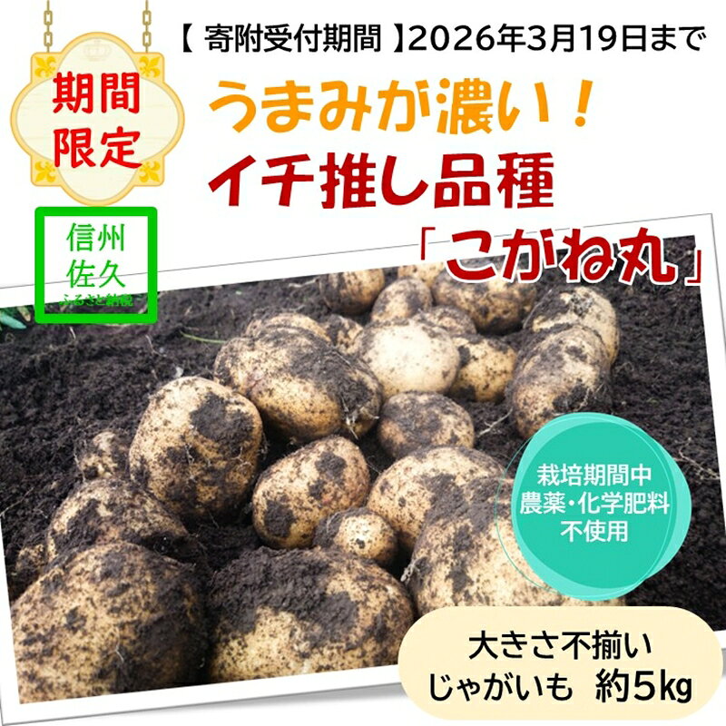 【ふるさと納税】【期間限定】ジャガイモ約5kg（北海道・沖縄県・離島配送不可）旨味が濃い！農園いち推しの品種「こがね丸」 長野県 信州 佐久市 高原