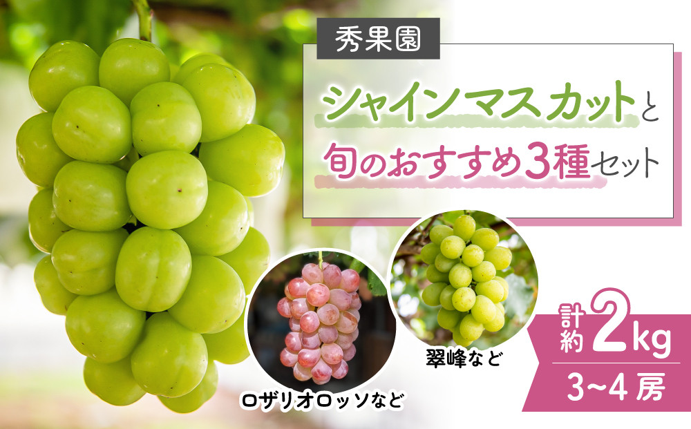 
            【予約受付2025年発送】シャインマスカットと旬のおすすめ3種セット（合計3~4房、約2kg）｜秀果園　※2025年9月下旬~10月順次発送予定
          