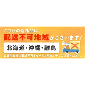 南国紀州・日高の太陽が育んだ小玉スイカ（ひとりじめセブン）《先行予約2027年5月中旬より順次発送予定》【配送不可地域：北海道・沖縄・離島】【0412-4】
