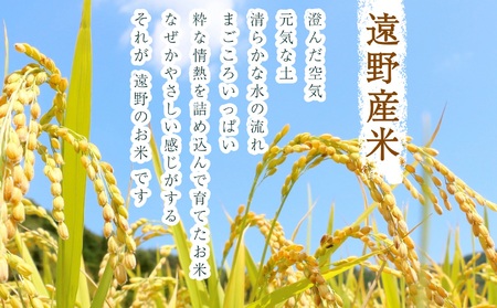 【 定期便 3回 】 銀河のしずく  5kg  遠野産 米【 五つ星 お米マイスター 厳選 】【 コメマルシェ 河判 】