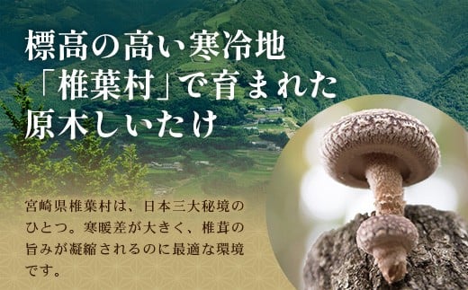 画像はイメージです