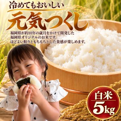 ふるさと納税 柳川市 【令和8年産】元気つくし 白米 5kg