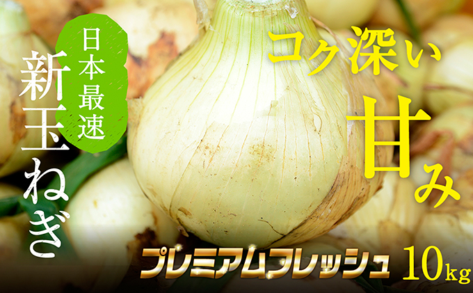 浜松篠原産新玉ねぎプレミアムフレッシュ10キロ【無選別品