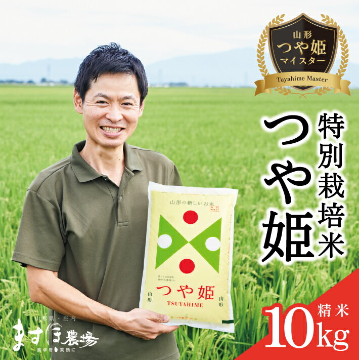 【ふるさと納税】≪新米予約≫ つや姫マイスターが作った つや姫 精米 計10kg 5kg×2袋 特別栽培米 令和7年産 山形県酒田産 ご希望時期頃お届け 米 精米 白米 お米 庄内米 ブランド米 ご飯 ごはん 東北 酒田市 庄内地方 庄内平野 農家直送 産地直送