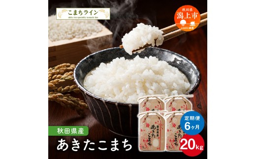 【定期便 】 定番 秋田県産  あきたこまち 20kg × 6ヶ月 半年 米 一等米 返礼品 こめ コメ 人気 おすすめ 5キロ 人気 おすすめ グルメ 故郷 ふるさと 納税 秋田 潟上市 一人暮らし 【こまちライン】
