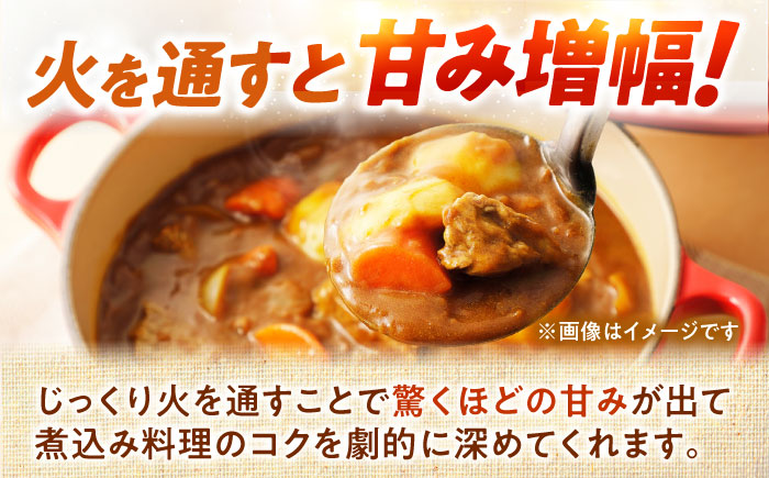 【2026年10月上旬以降順次発送】 玉ねぎ 5kg | 野菜 玉ネギ たまねぎ やさい 北海道 産地直送 | 道の駅 真狩フラワーセンター [BPAM079]